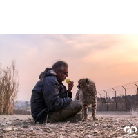 برای پیروز که جانباخت